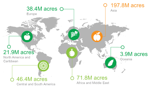 agerpoint - Global Acres Of Permanent Crops