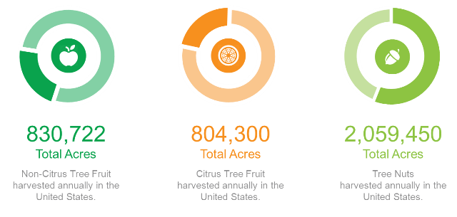 agerpoint - U.S. Fruit Bearing Trees - In Acres