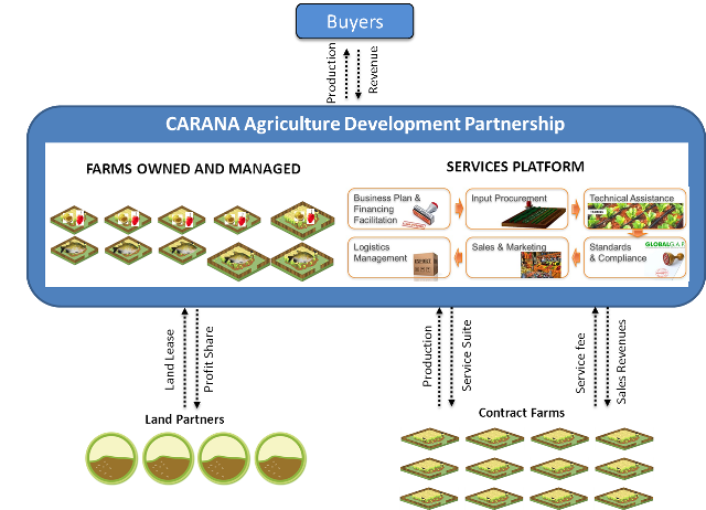 carana-agribusiness - Business Model