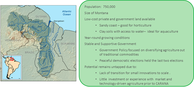 carana-agribusiness - The Overarching Problem