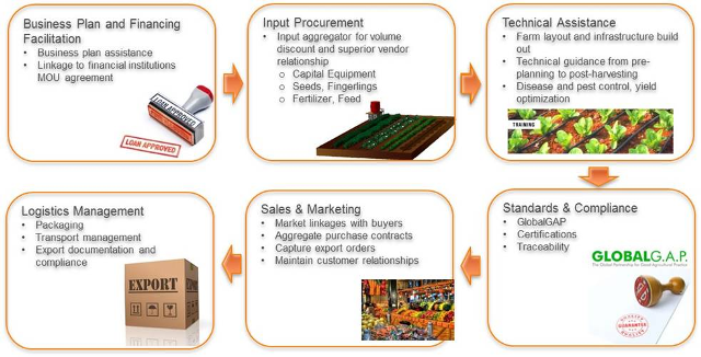 carana-agribusiness - The Overarching Problem